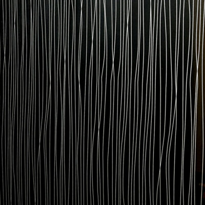 Aquamax Silver Strings Black shower wall panel
